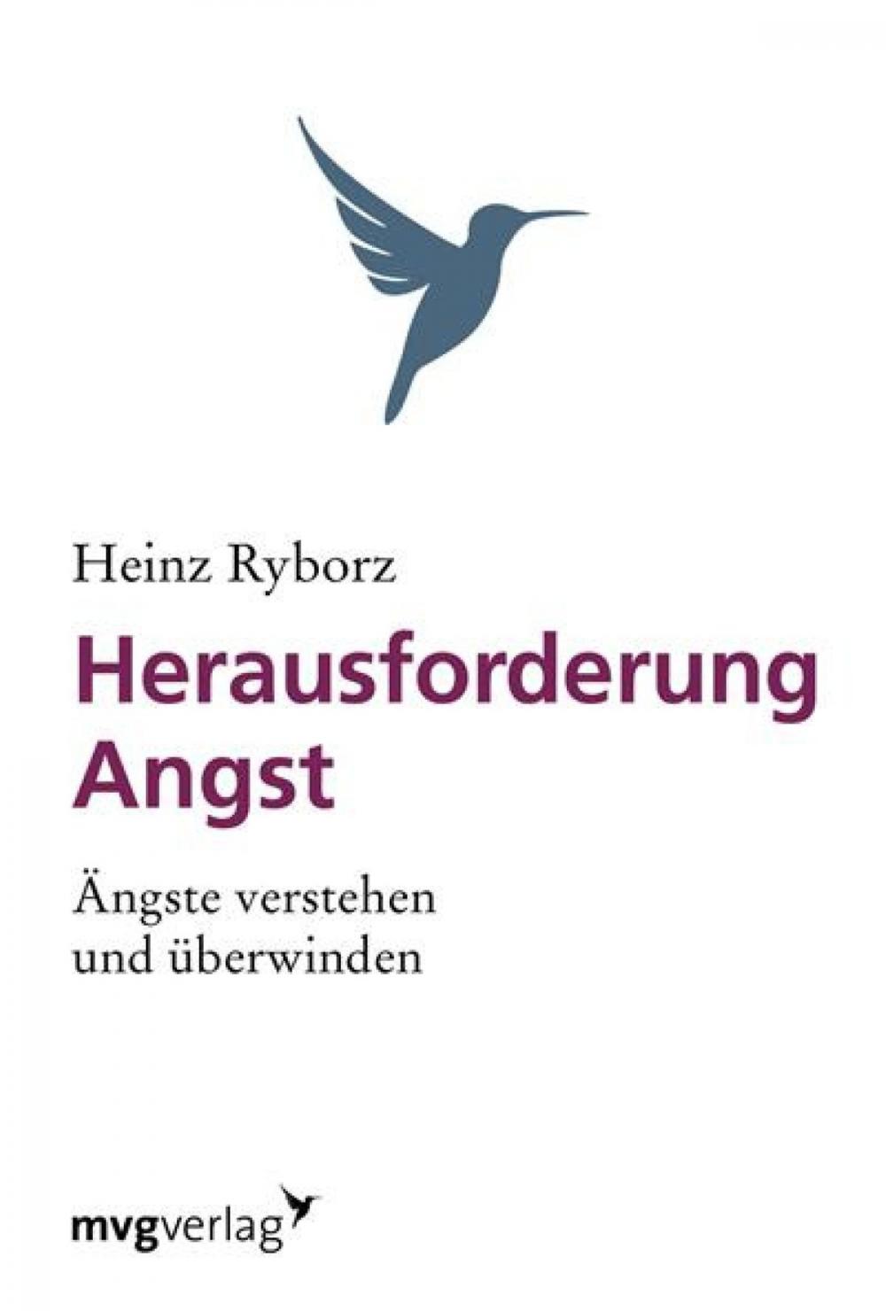 Big bigCover of Herausforderung Angst