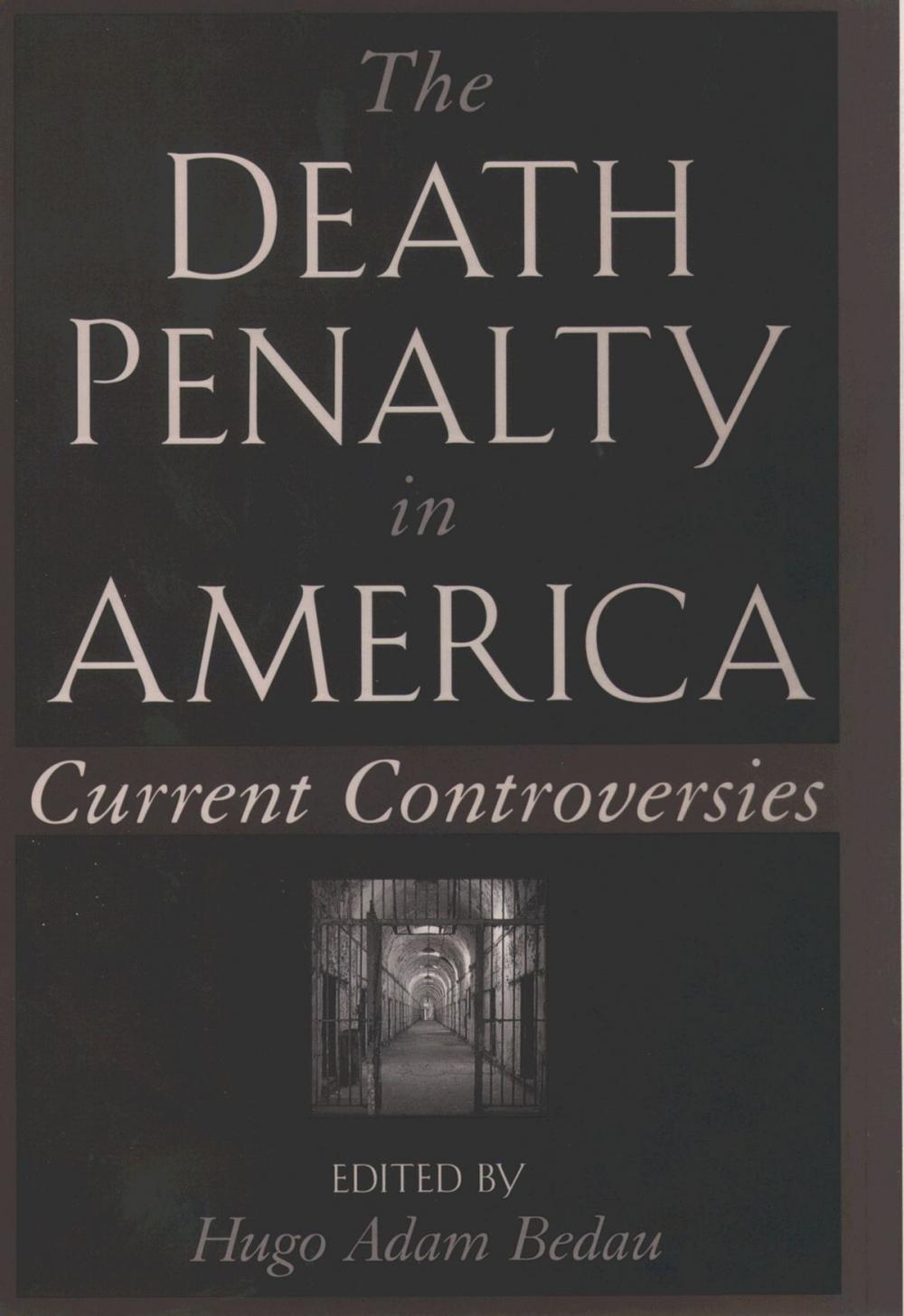 Big bigCover of The Death Penalty in America