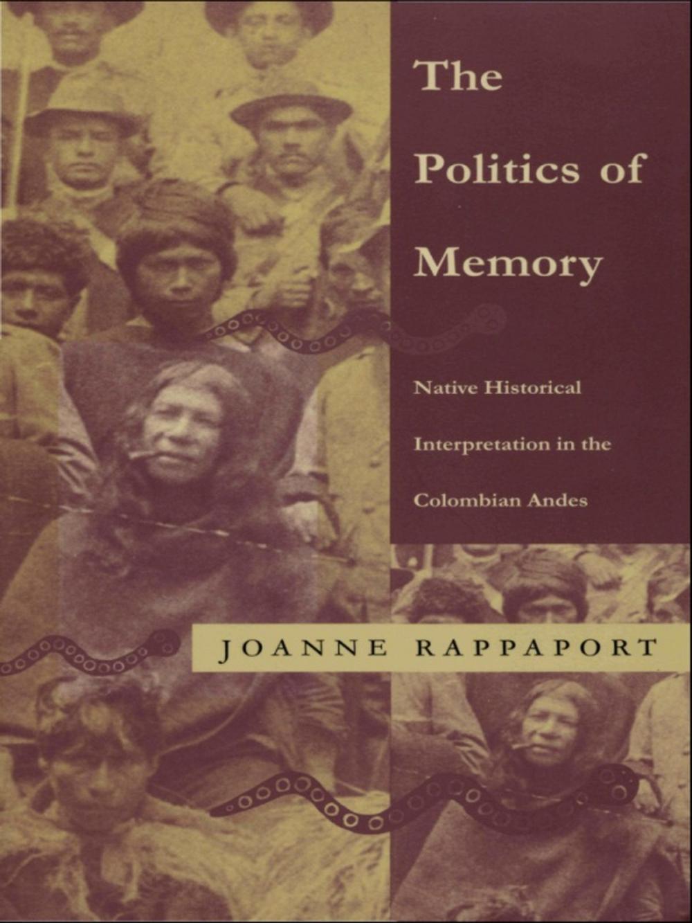 Big bigCover of The Politics of Memory