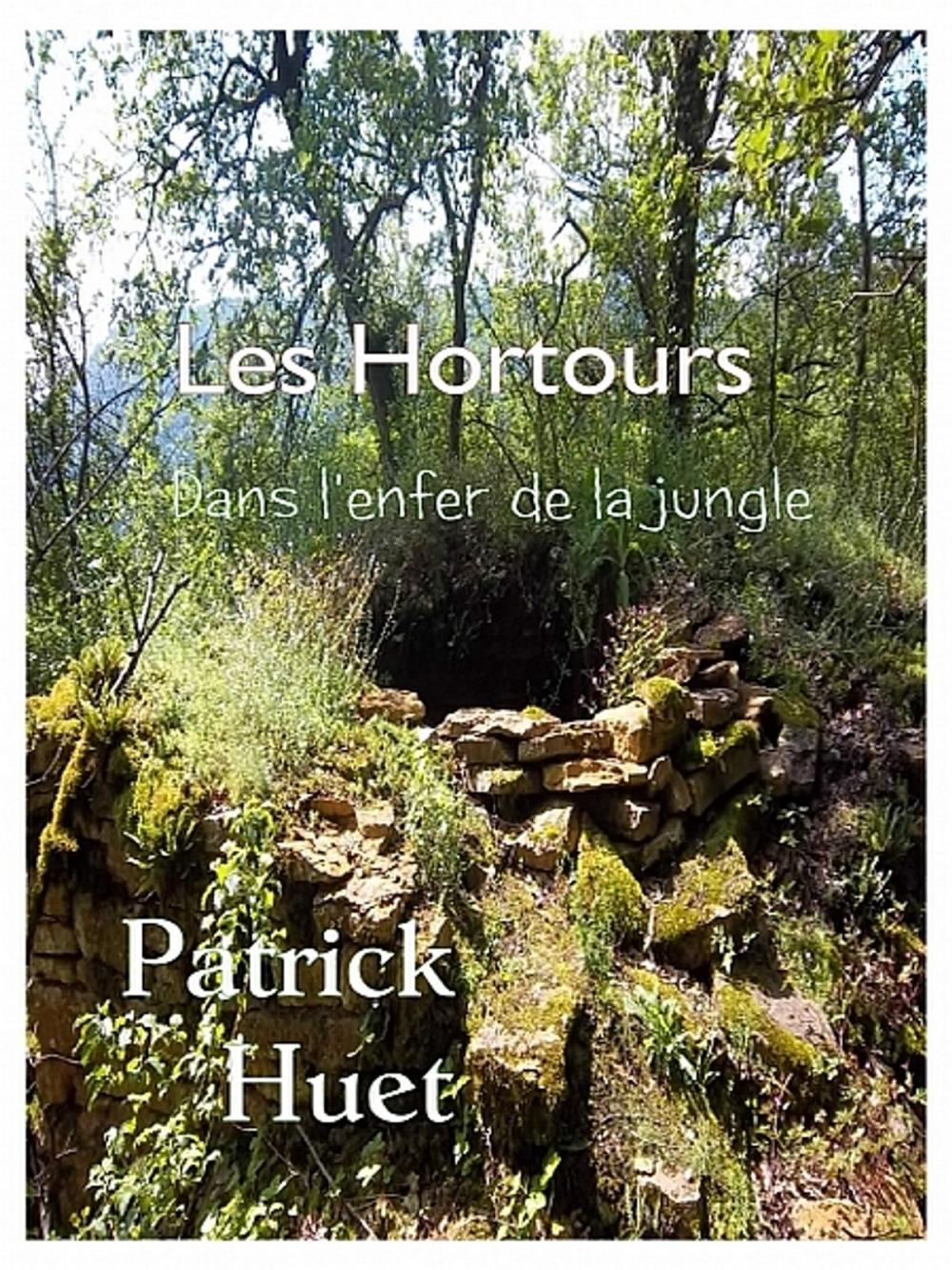 Big bigCover of Les Hortours - Dans l'enfer de la jungle