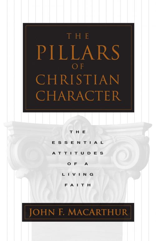 Cover of the book The Pillars of Christian Character by John MacArthur, Crossway