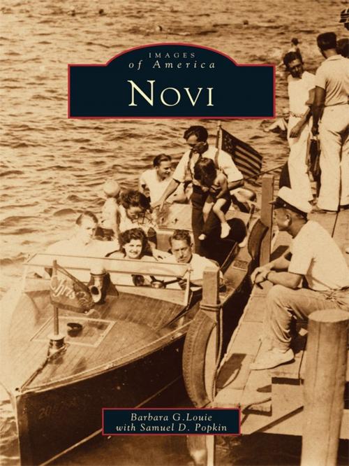 Cover of the book Novi by Barbara G. Louie, Arcadia Publishing Inc.