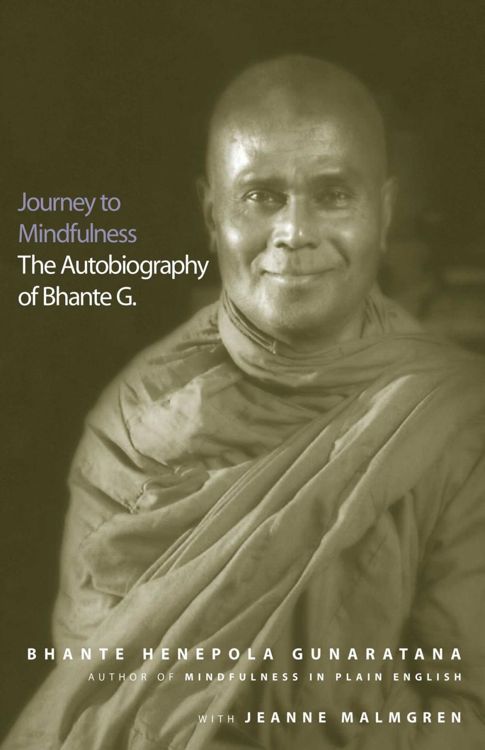 Big bigCover of Journey to Mindfulness