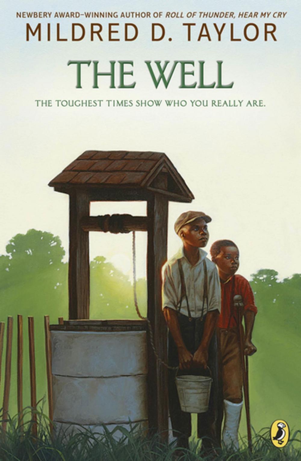 Big bigCover of The Well