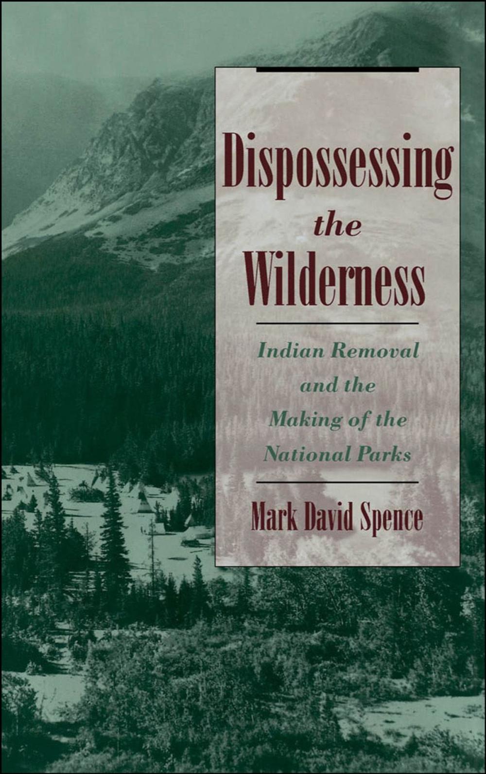 Big bigCover of Dispossessing the Wilderness