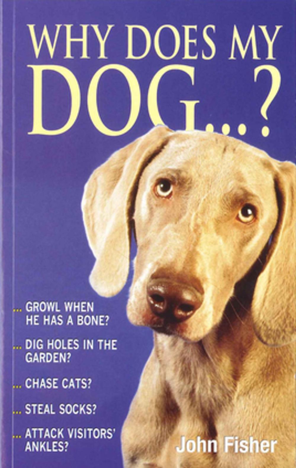 Big bigCover of Why Does My Dog...?