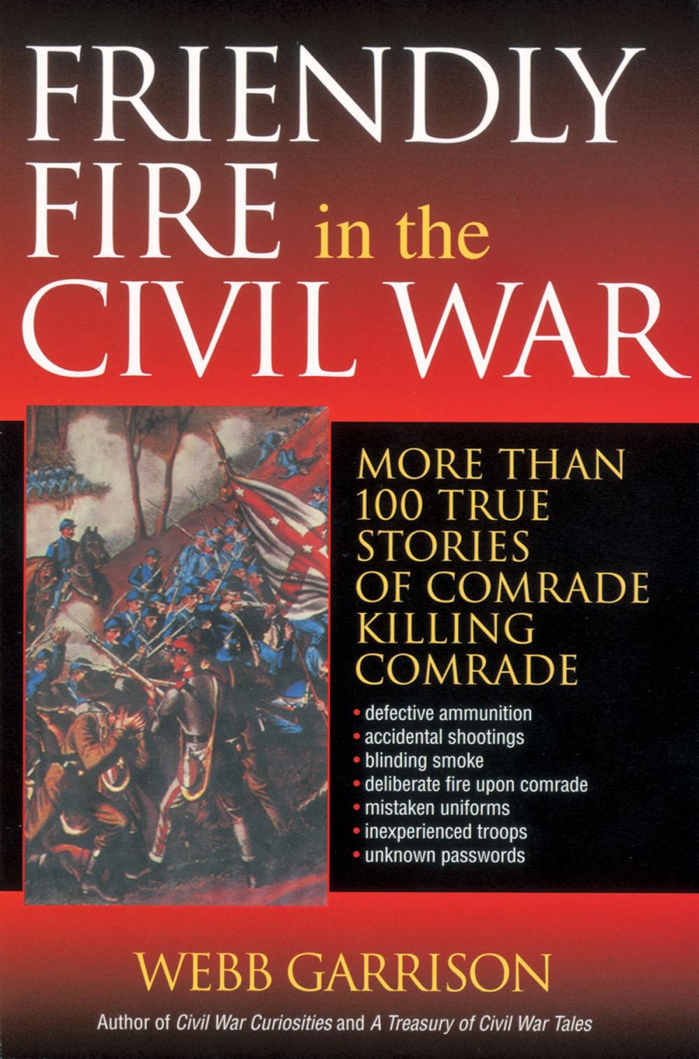 Big bigCover of Friendly Fire in the Civil War