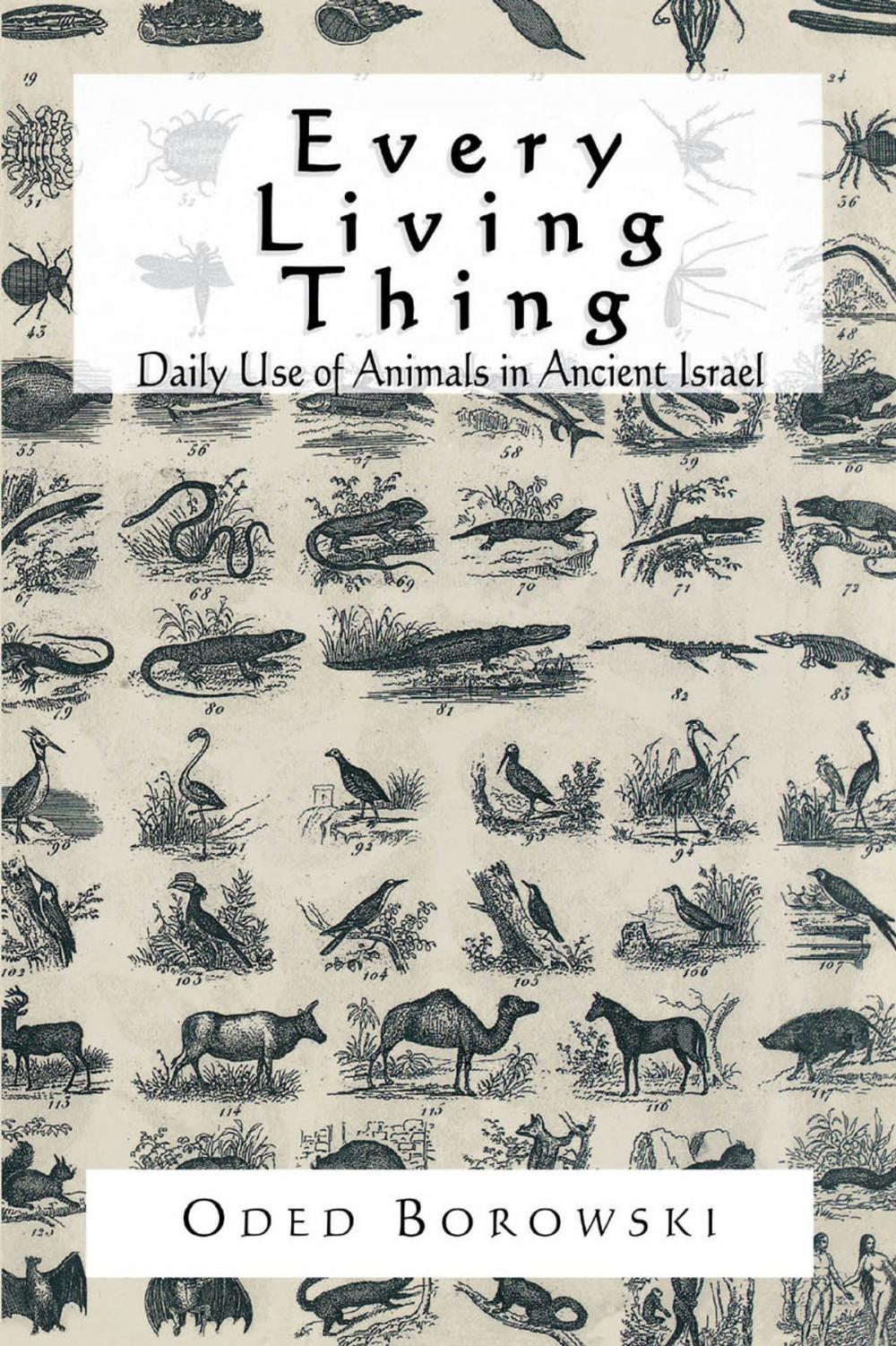 Big bigCover of Every Living Thing