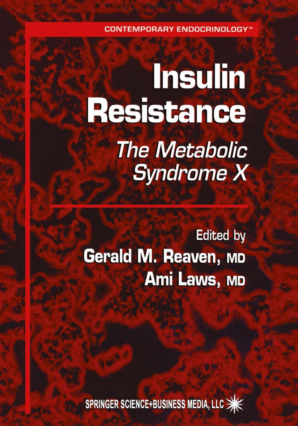 Big bigCover of Insulin Resistance