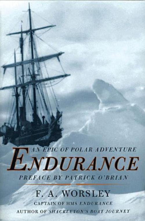 Cover of the book Endurance by Frank Arthur Worsley, W. W. Norton & Company