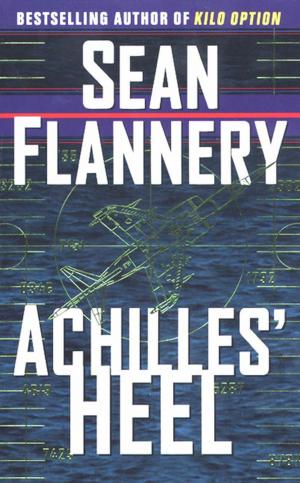 Cover of the book Achilles' Heel by Dan Wells