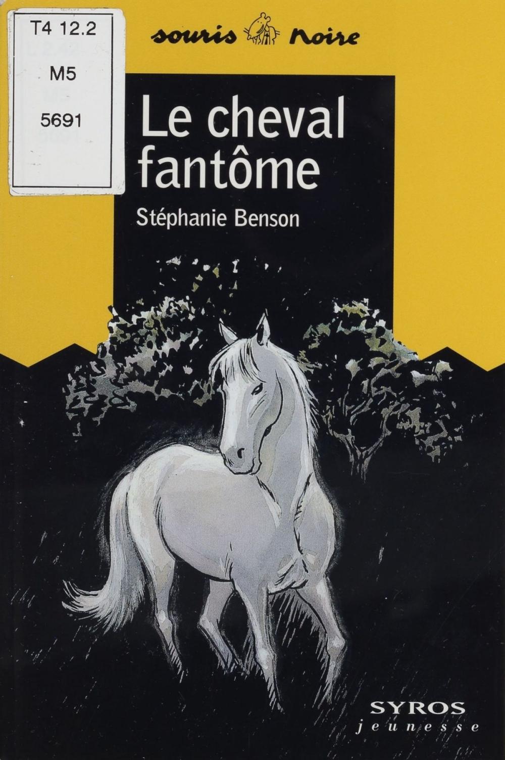 Big bigCover of Le Cheval fantôme