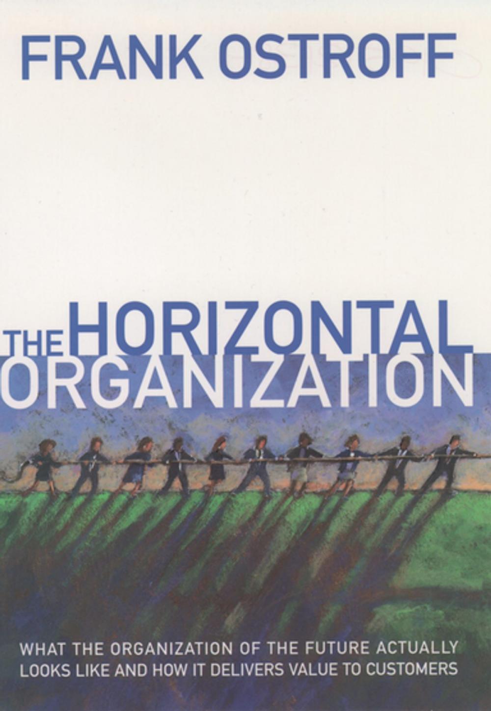 Big bigCover of The Horizontal Organization