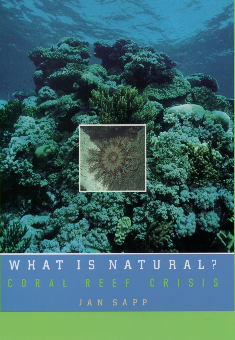 Big bigCover of What Is Natural?