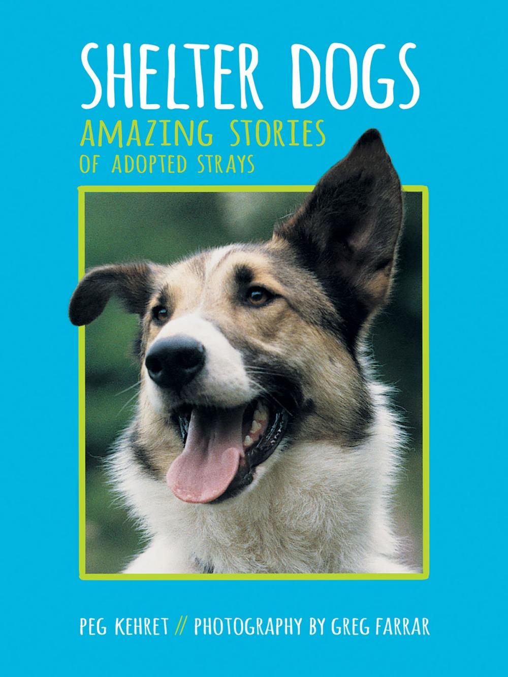 Big bigCover of Shelter Dogs