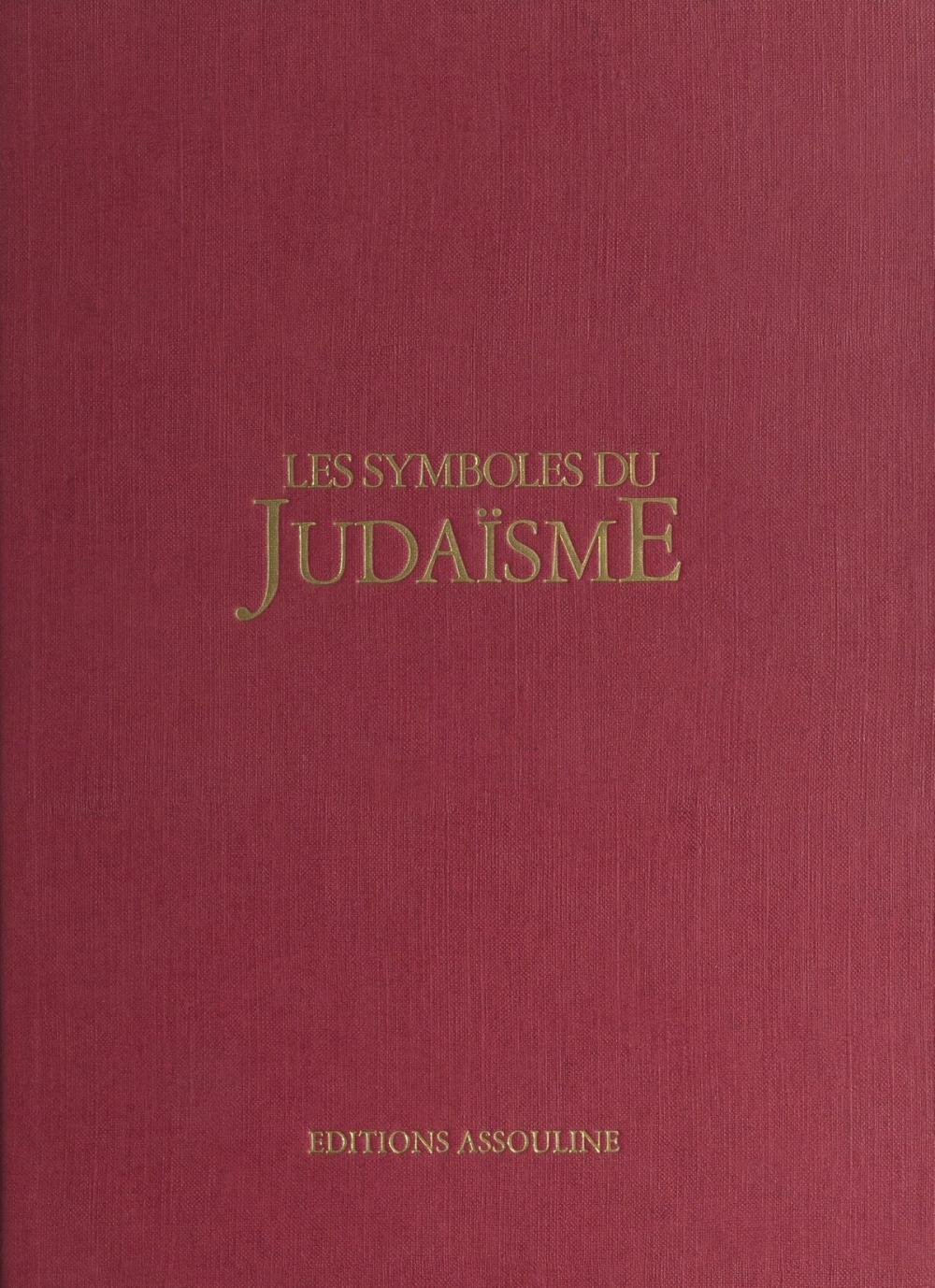 Big bigCover of Les symboles du judaïsme