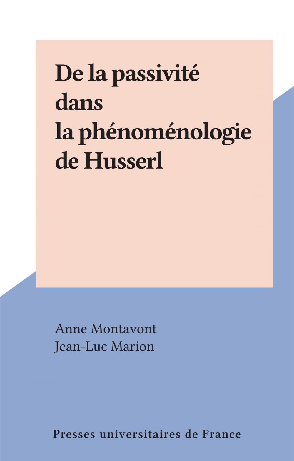 Big bigCover of De la passivité dans la phénoménologie de Husserl