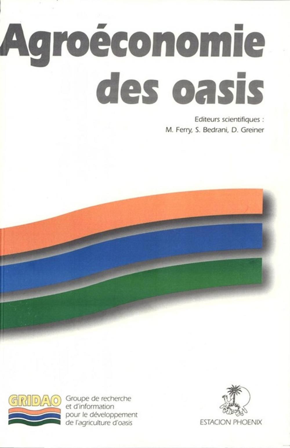 Big bigCover of Agroéconomie des oasis