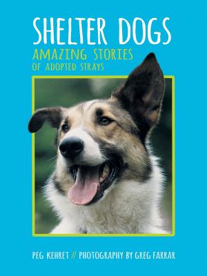 Cover of the book Shelter Dogs by Gertrude Chandler Warner, Robert L. Papp