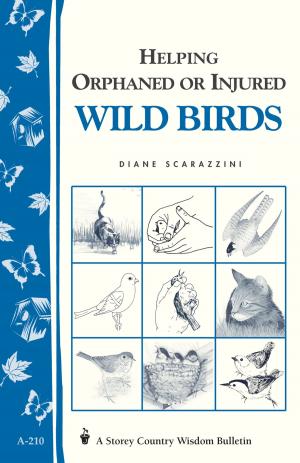 Cover of the book Helping Orphaned or Injured Wild Birds by Donna Smallin