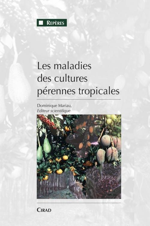 Cover of the book Les maladies des cultures pérennes tropicales by Dominique Mariau, Quae