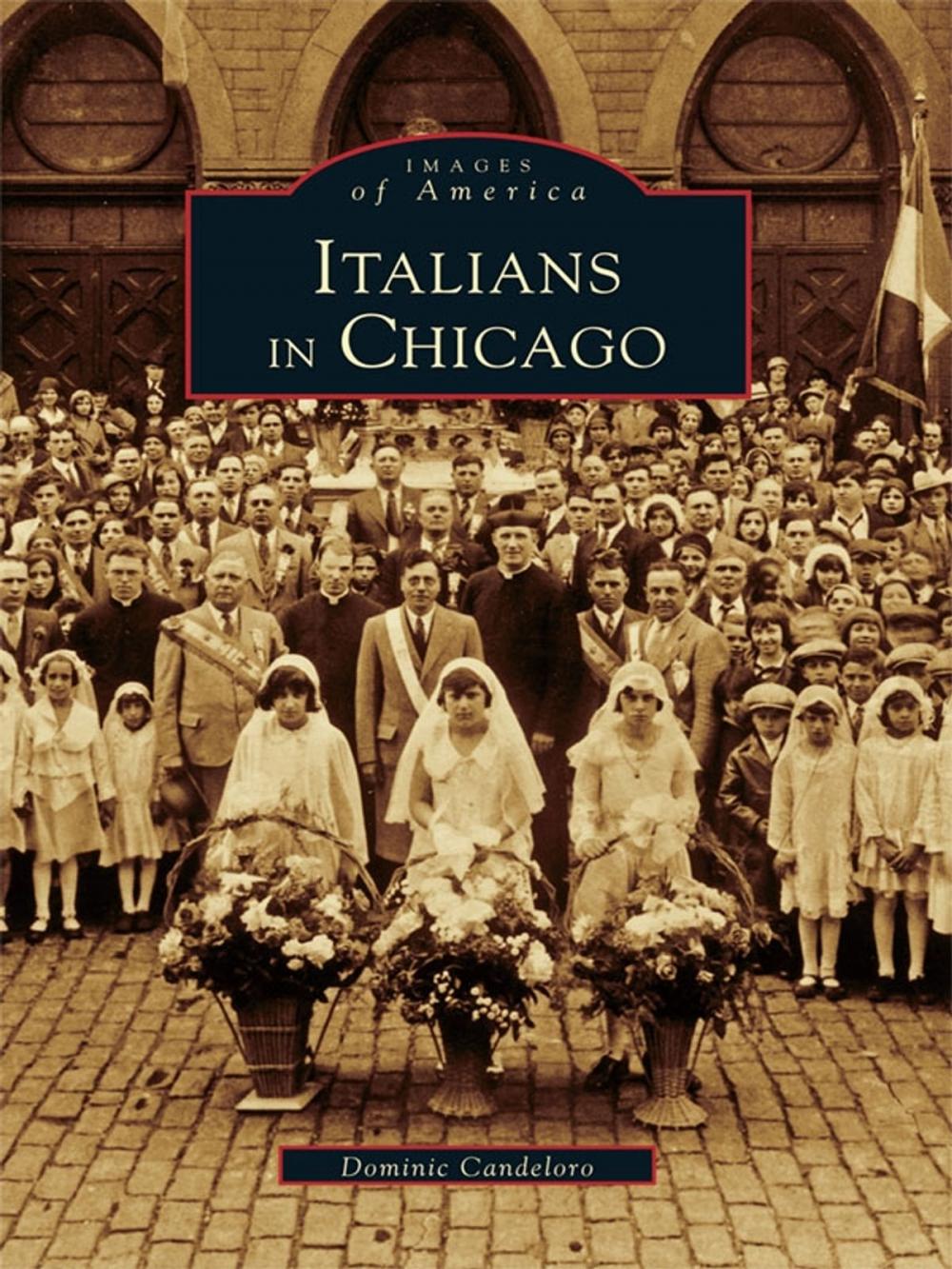 Big bigCover of Italians in Chicago