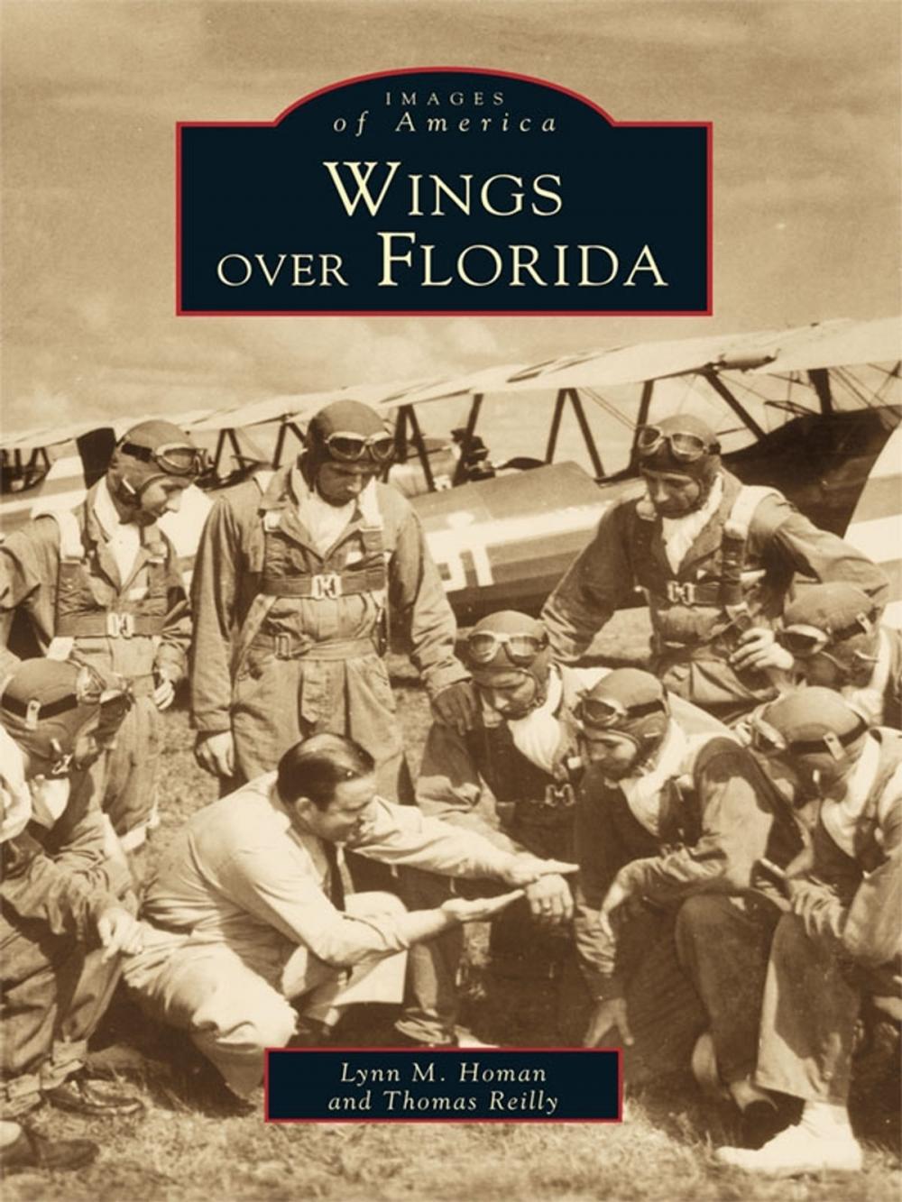 Big bigCover of Wings over Florida