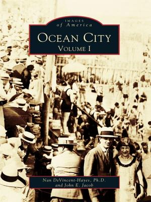 Cover of the book Ocean City by Ryan Wieber, Sandy Stamm