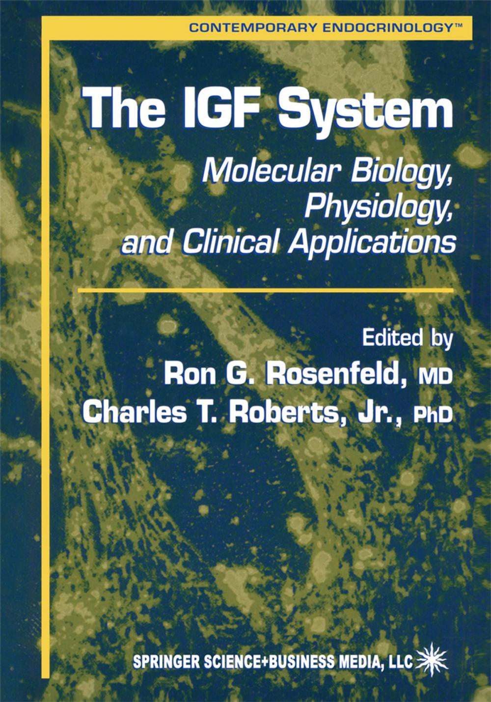 Big bigCover of The IGF System