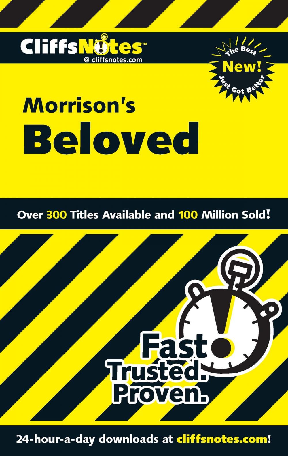 Big bigCover of CliffsNotes on Morrison's Beloved