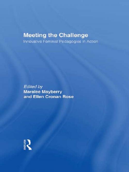 Cover of the book Meeting the Challenge by Ellen Rose, Taylor and Francis