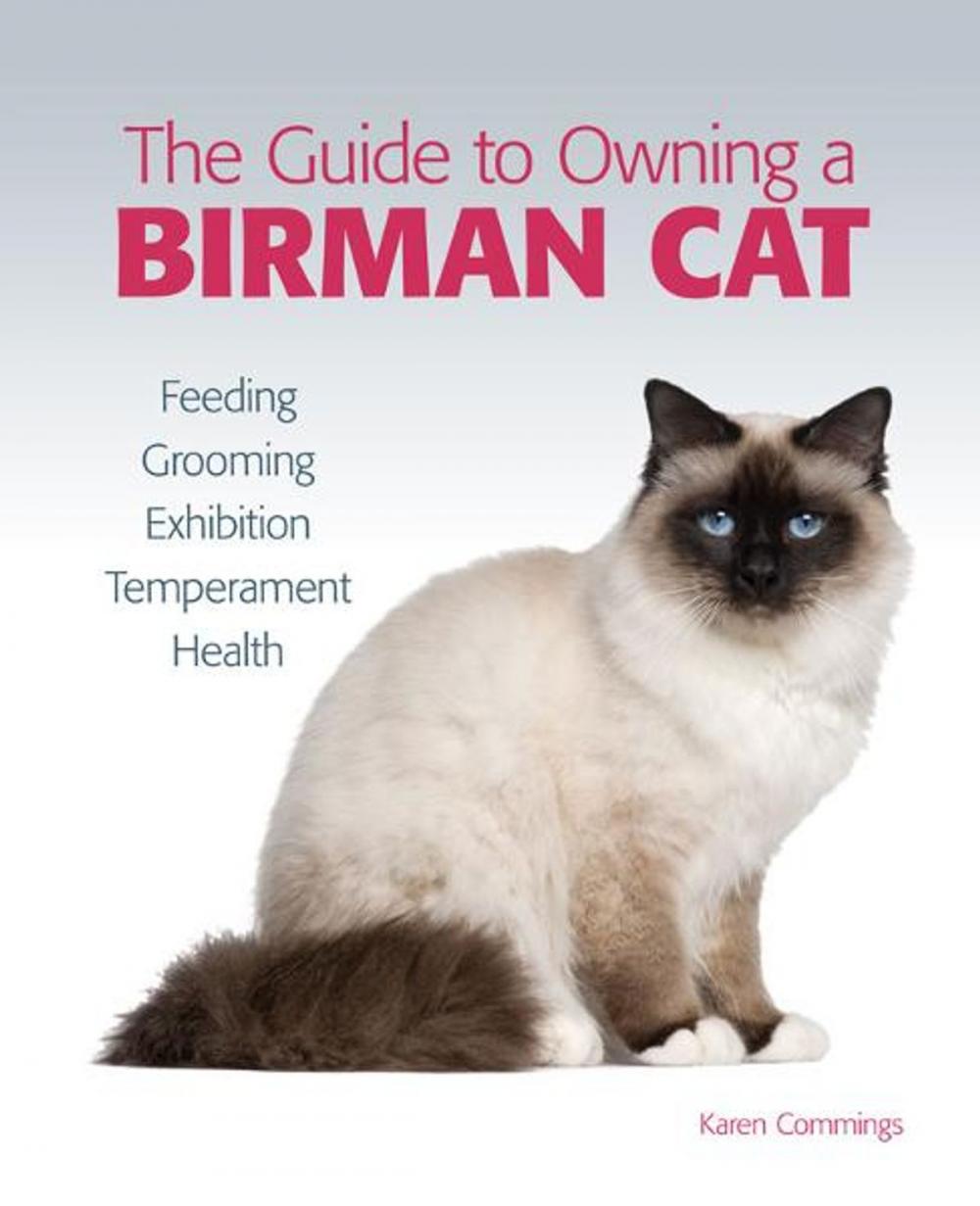 Big bigCover of Guide to Owning a Birman Cat