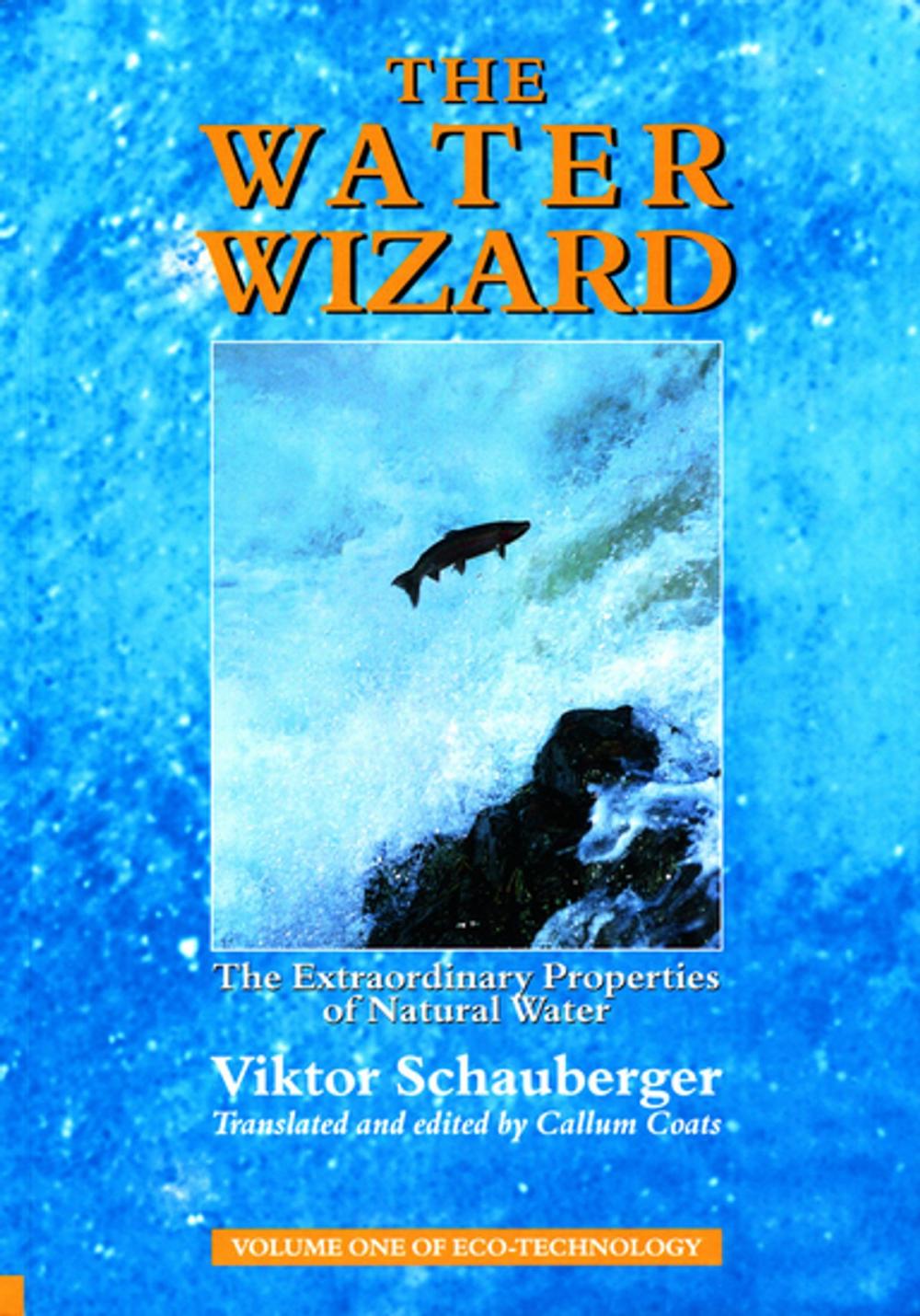 Big bigCover of The Water Wizard – The Extraordinary Properties of Natural Water