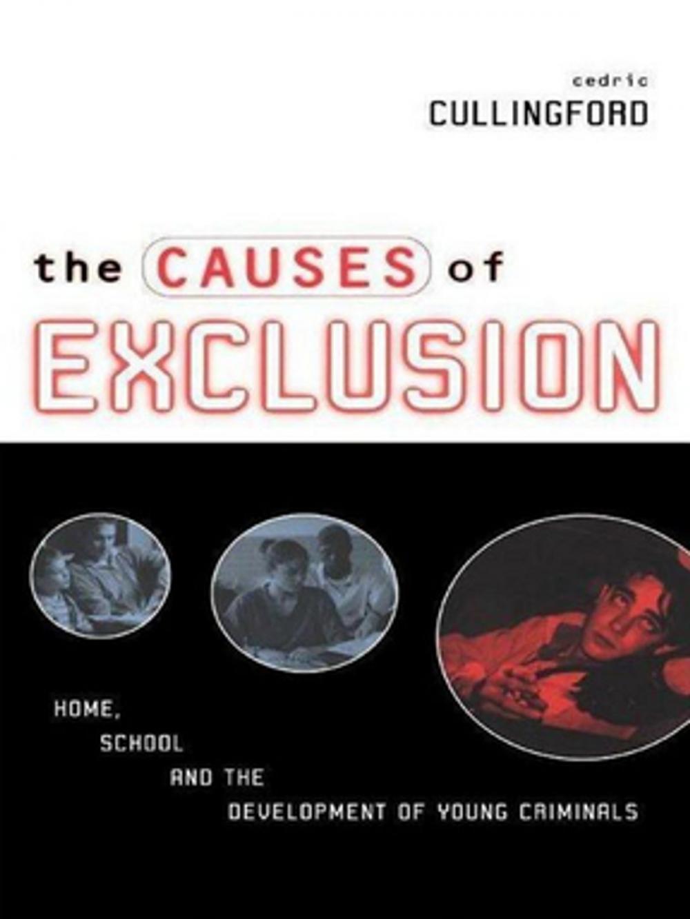 Big bigCover of The Causes of Exclusion