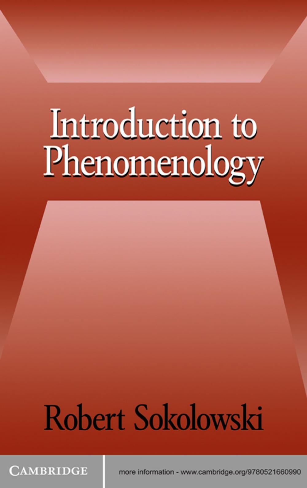 Big bigCover of Introduction to Phenomenology