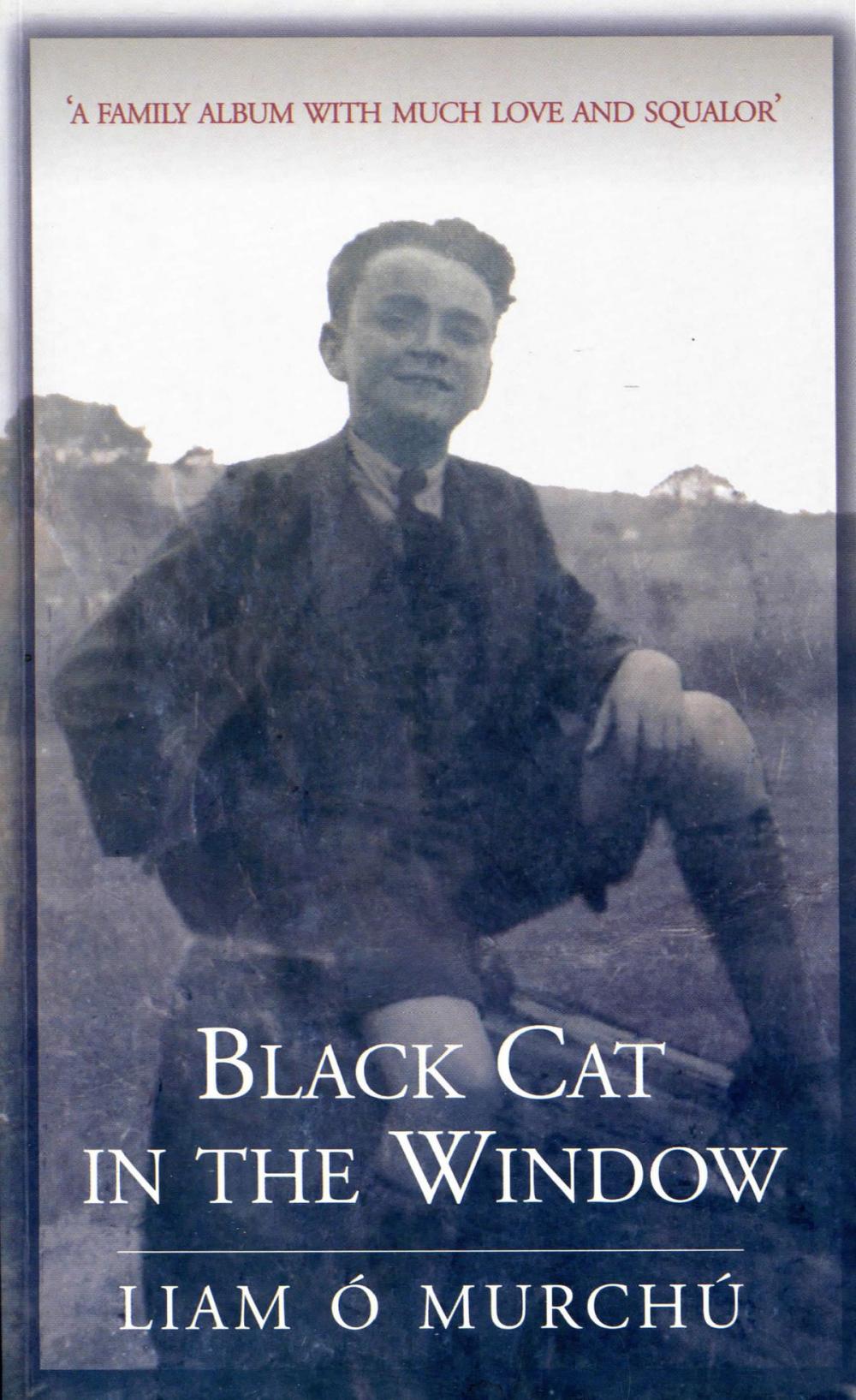 Big bigCover of Black Cat in the Window: A Family Album with Much Love and Squalor