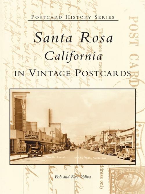 Cover of the book Santa Rosa, California in Vintage Postcards by Bob Voliva, Kay Voliva, Arcadia Publishing Inc.