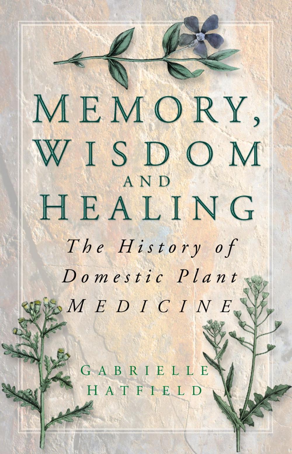 Big bigCover of Memory, Wisdom and Healing