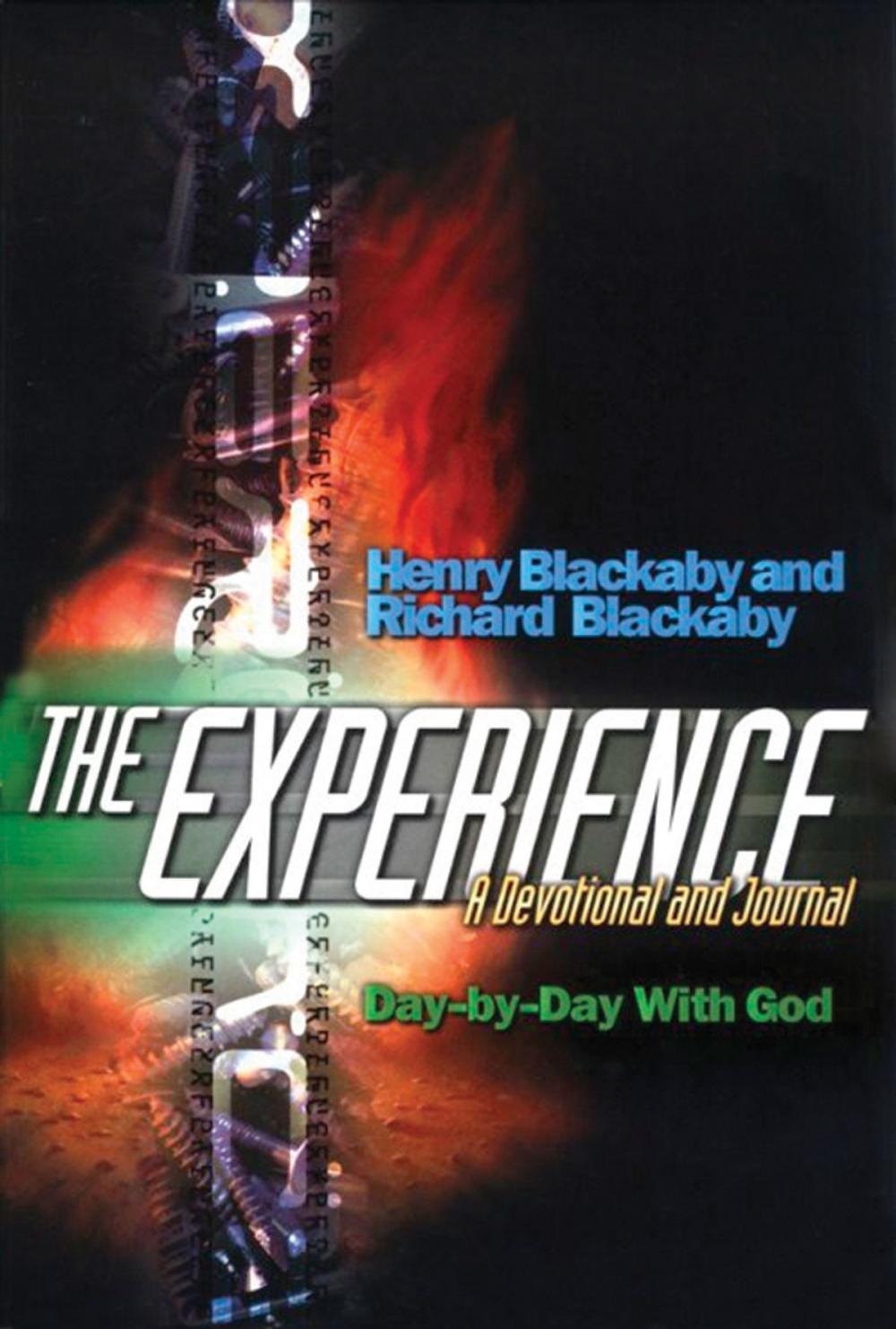 Big bigCover of The Experience