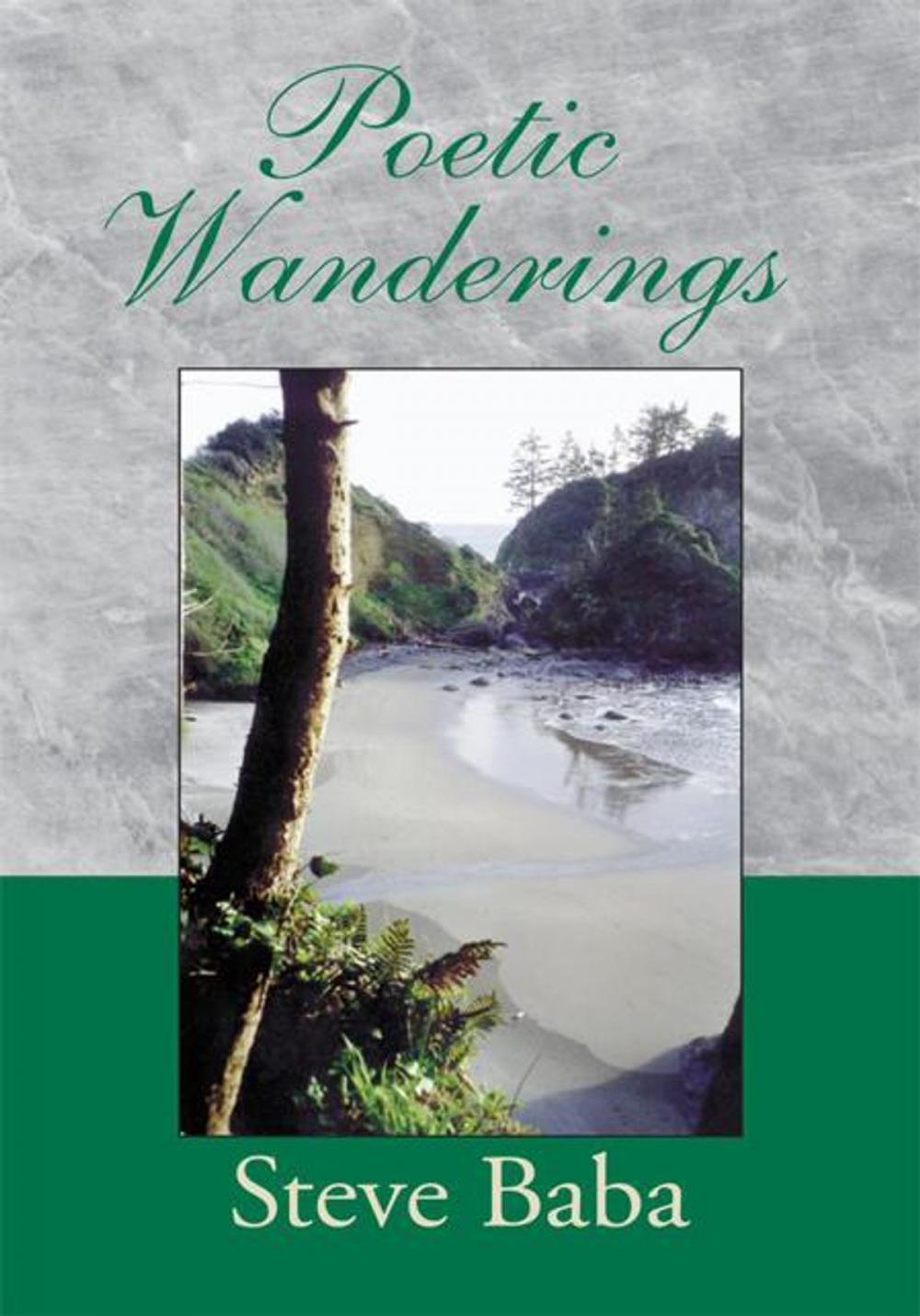 Big bigCover of Poetic Wanderings