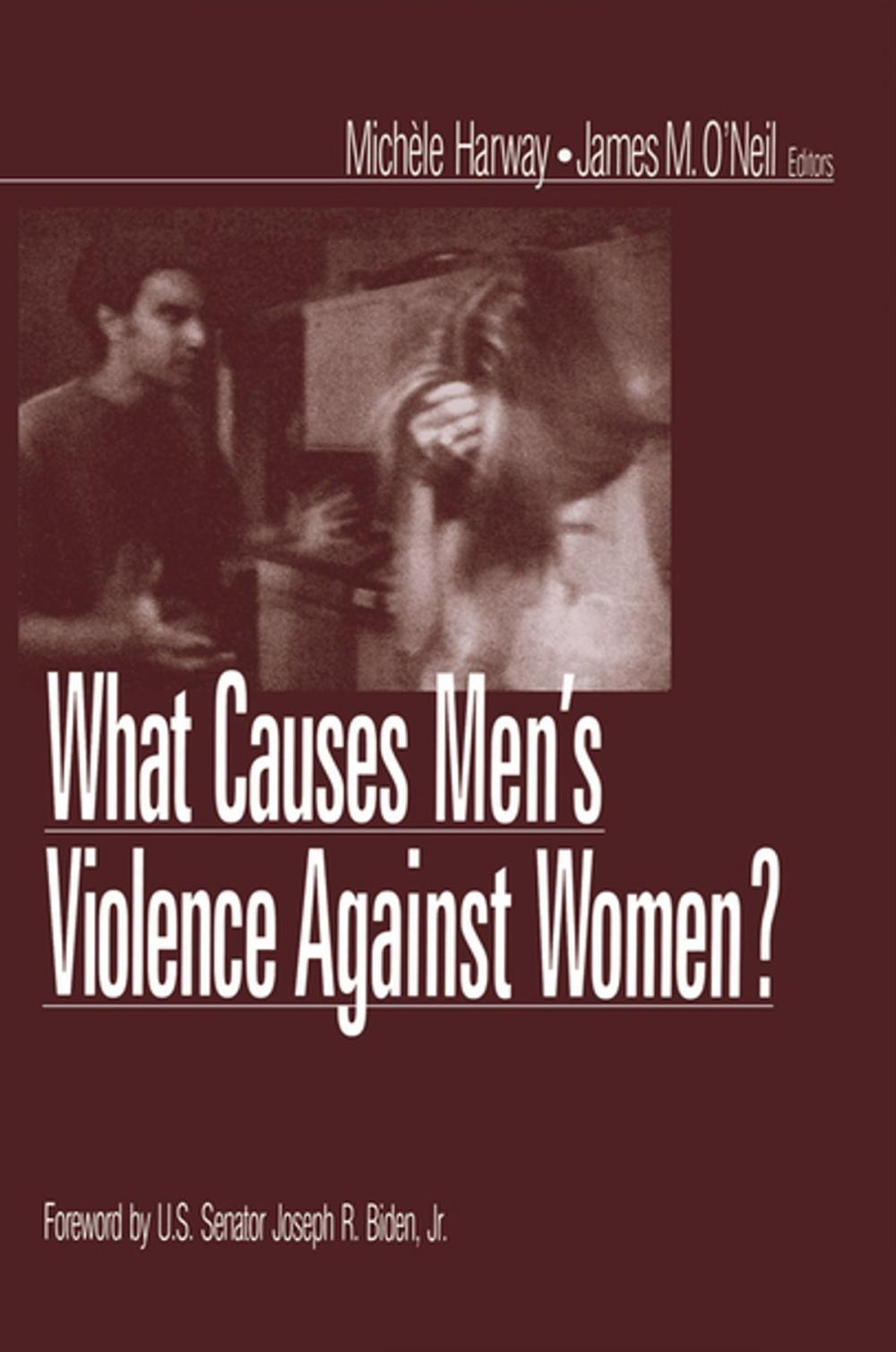 Big bigCover of What Causes Men's Violence Against Women?