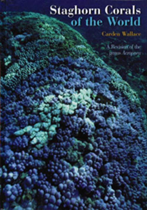 Cover of the book Staghorn Corals of the World by Carden Wallace, CSIRO PUBLISHING