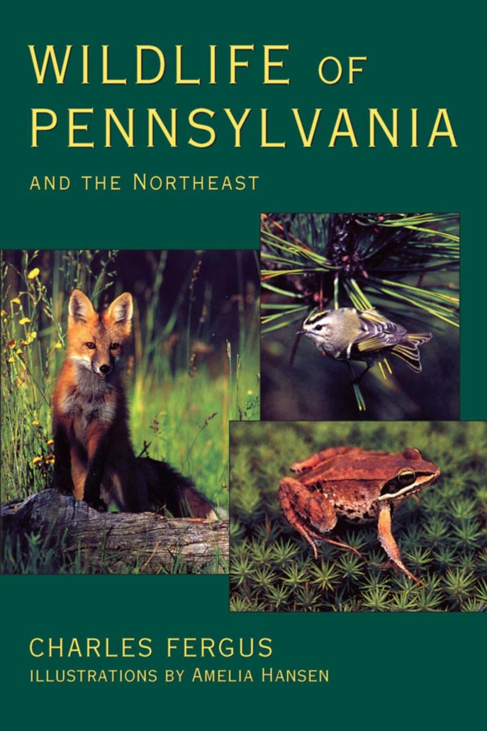 Big bigCover of Wildlife of Pennsylvania