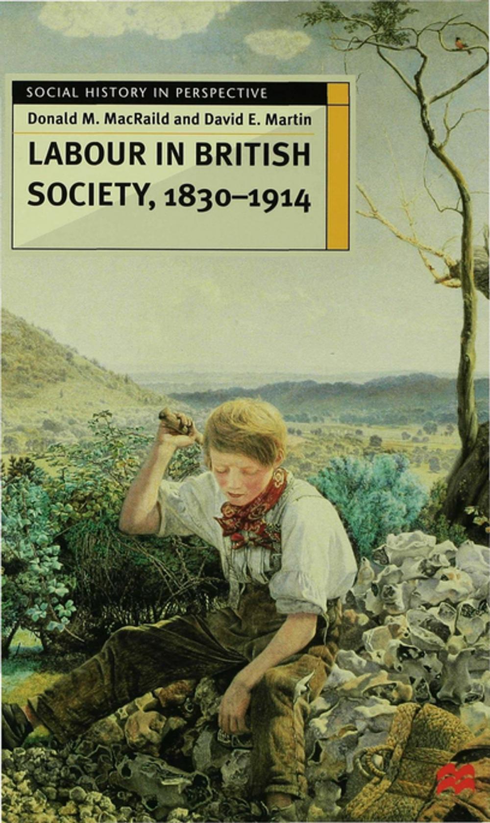 Big bigCover of Labour in British Society, 1830-1914