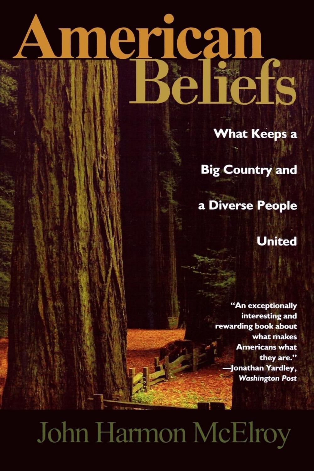 Big bigCover of American Beliefs