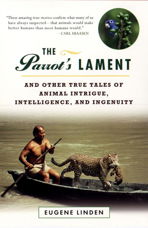 Cover of the book Parrot's Lament, The and Other True Tales of Animal Intrigue, Intelligen by Eugene Linden, Penguin Publishing Group