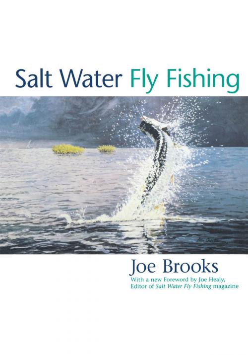 Cover of the book Salt Water Fly Fishing by Joe Brooks, Derrydale Press