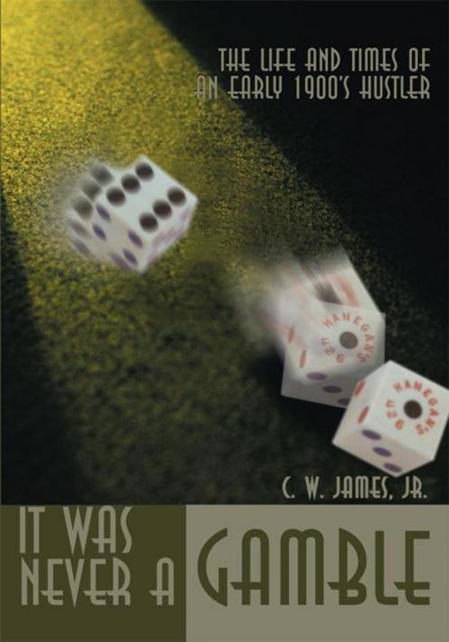 Cover of the book It Was Never a Gamble by James Conrad Jr., iUniverse