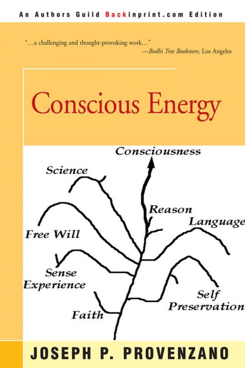 Cover of the book Conscious Energy by Joseph P. Provenzano, iUniverse