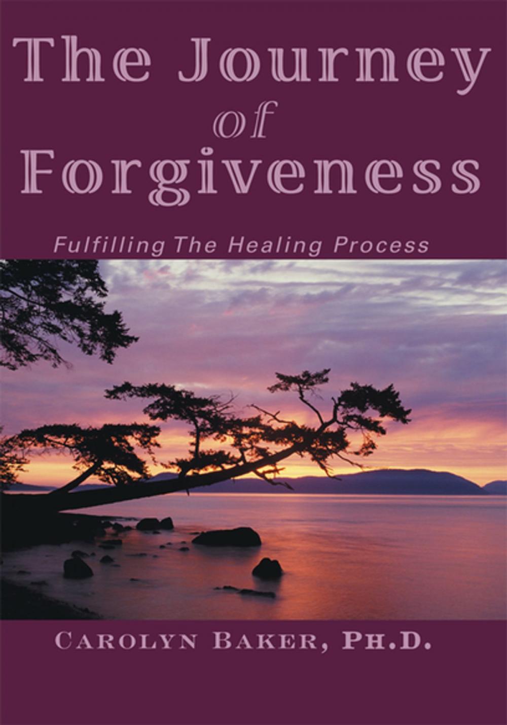 Big bigCover of The Journey of Forgiveness